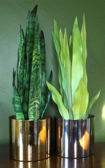 70cm Artificial Sansevieria Zeylanica Plant for Lush Indoor Accents