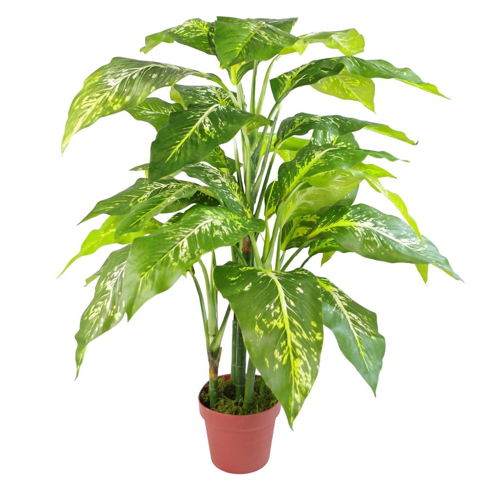 100cm Large Fox's Aglaonema (Spotted Evergreen) Tree in Copper Metal Planter