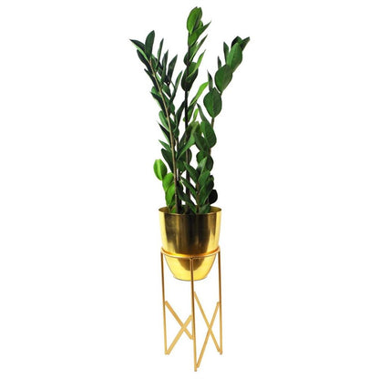 75cm Artificial Zanzibar Green Gem Zamioculcas Succulent Plant for Indoor Use
