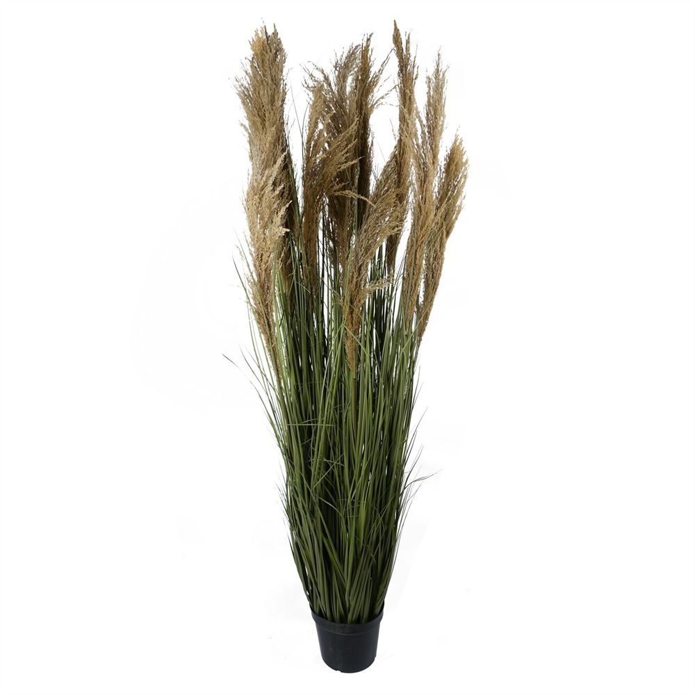 180cm Lifelike Pampas Grass Plant for a Chic and Natural Look
