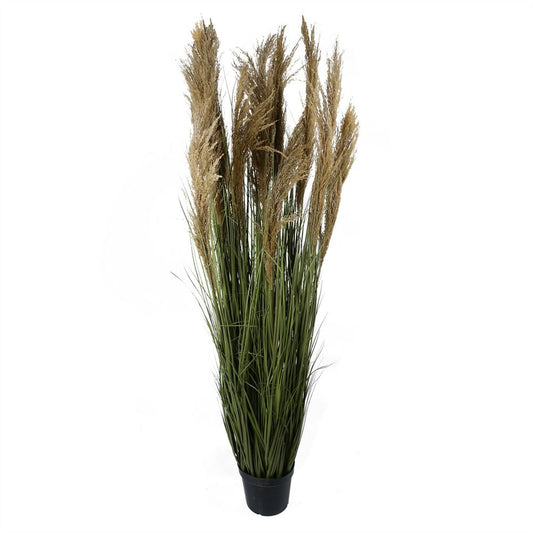 180cm Lifelike Pampas Grass Plant for a Chic and Natural Look