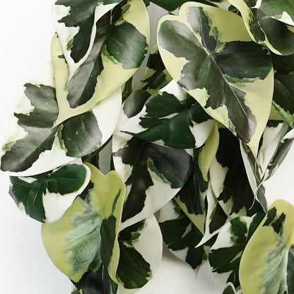 40cm Variegated Marble Pothos Plant - Artificial Trailing Design