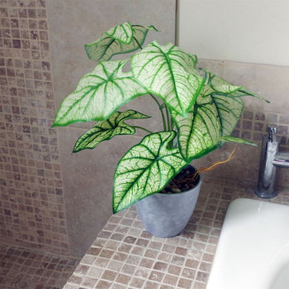 40cm Artificial Taro Plant in Decorative Planter