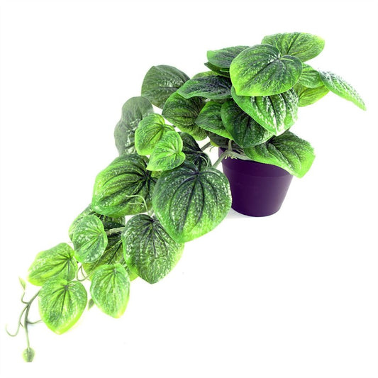 35cm Artificial Potted Green Trailing Pothos Plant