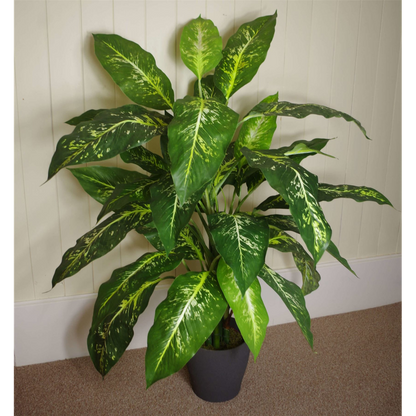 100cm Large Fox's Aglaonema (Spotted Evergreen) Tree in Silver Metal Planter