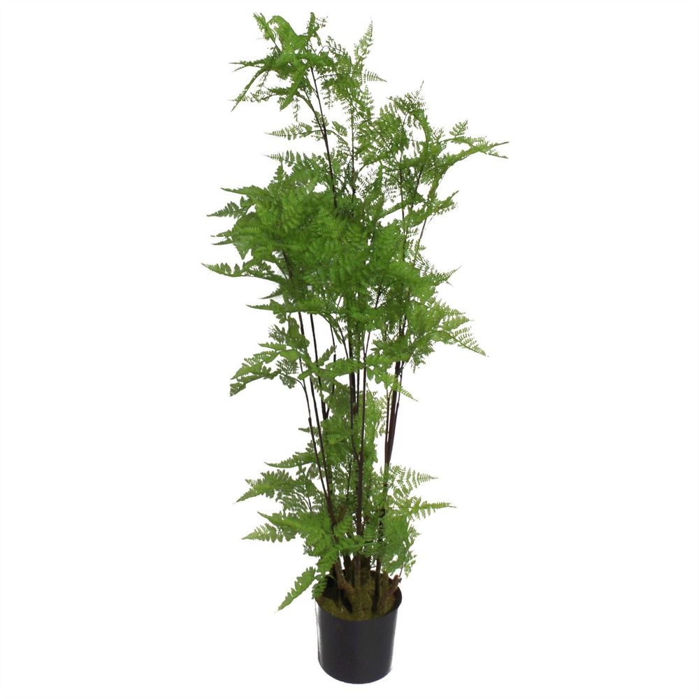 150cm Artificial Fern Plant with Natural Moss Base - Lifelike Design