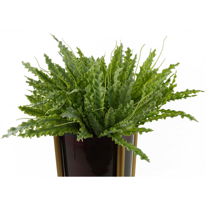 40cm Artificial Crocodile Fern Plant for Lush Indoor Greenery