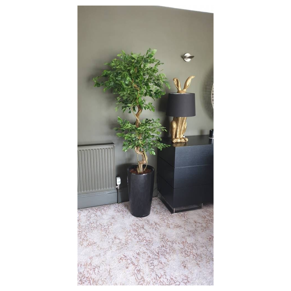 150cm Twisted Trunk Artificial Japanese Ficus Tree, Fruticosa Style