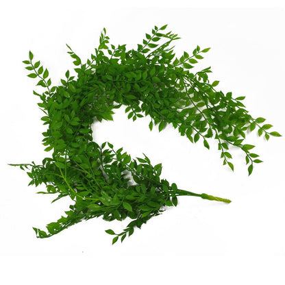 100cm Light Green Hanging String of Pearls Fern Plant - Realistic Look