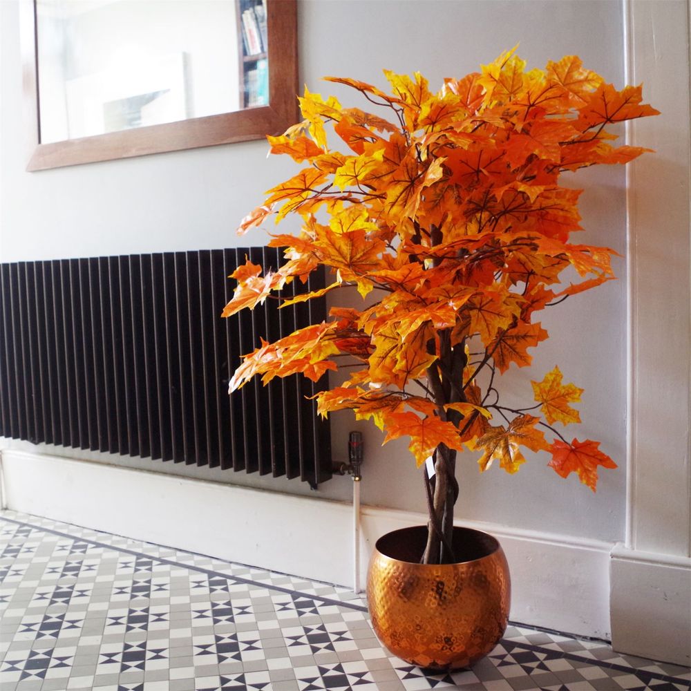 125cm Extra Large Orange Maple Acer Tree - Stunning Autumn Decor