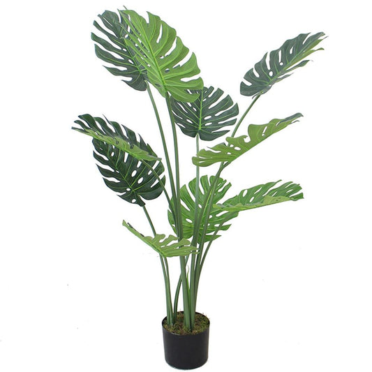 120cm (4ft) Luxury Monstera Plant in Elegant Black Pot