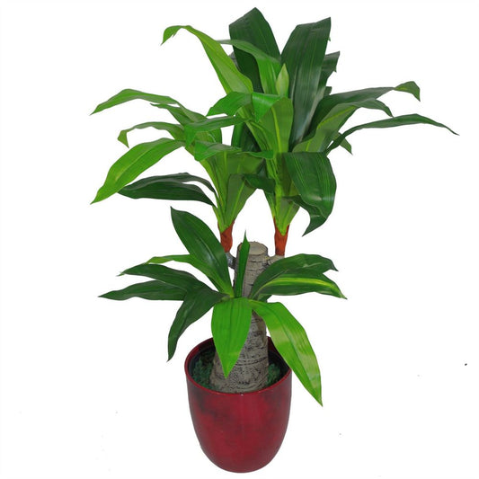 75cm Artificial Dracaena Plant with Wide Trunk and Triple Branch for Statement Decor