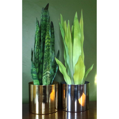 70cm Artificial Sansevieria Zeylanica Plant for Striking Indoor Decor