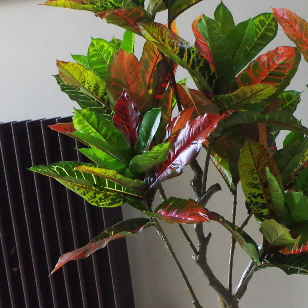 130cm Multicoloured Artificial Codiaeum Plant – Vibrant Faux Plant for Home Décor