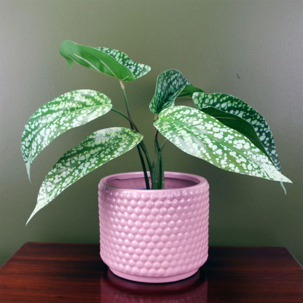 35cm Spotted Leopard Plant - Artificial in Planter