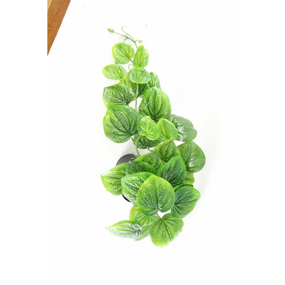 35cm Realistic Artificial Pothos Plant for Hanging Decor with a Natural Trailing Look