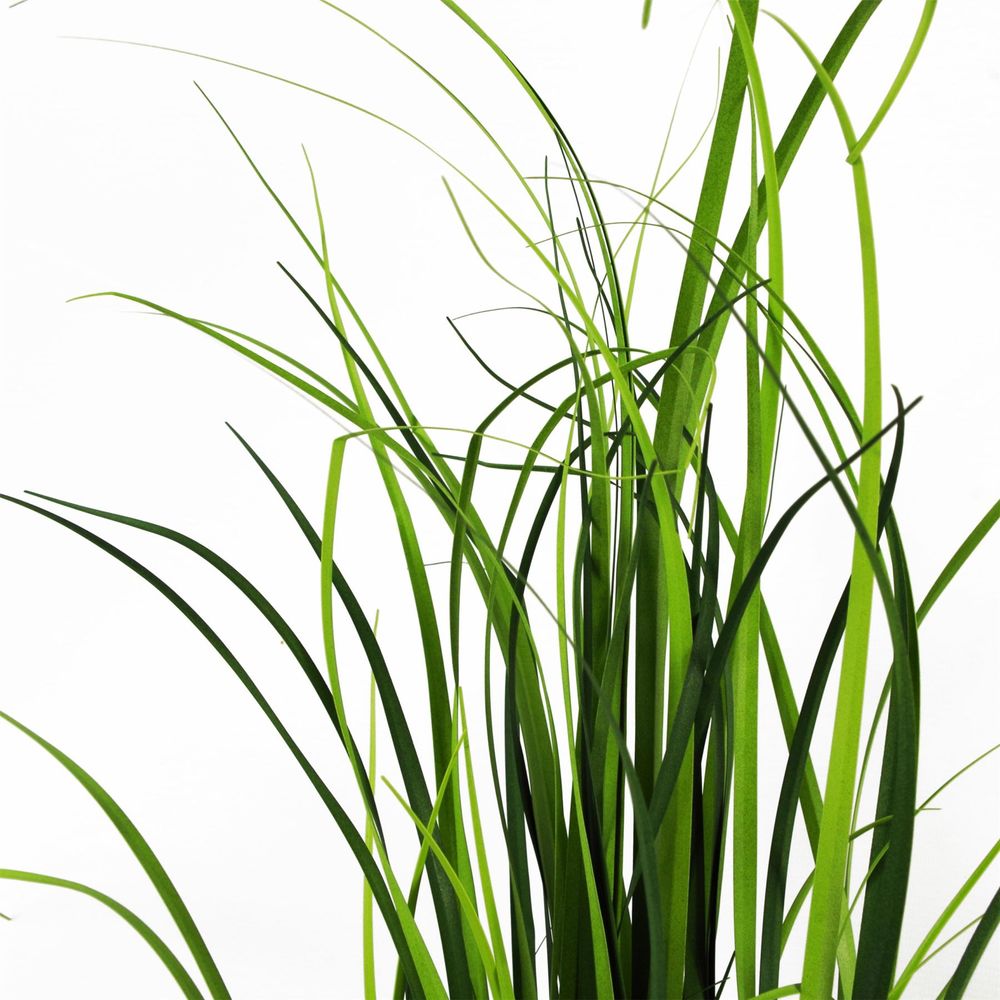 60cm Artificial Lemongrass Plant for Fragrant Indoor Atmosphere