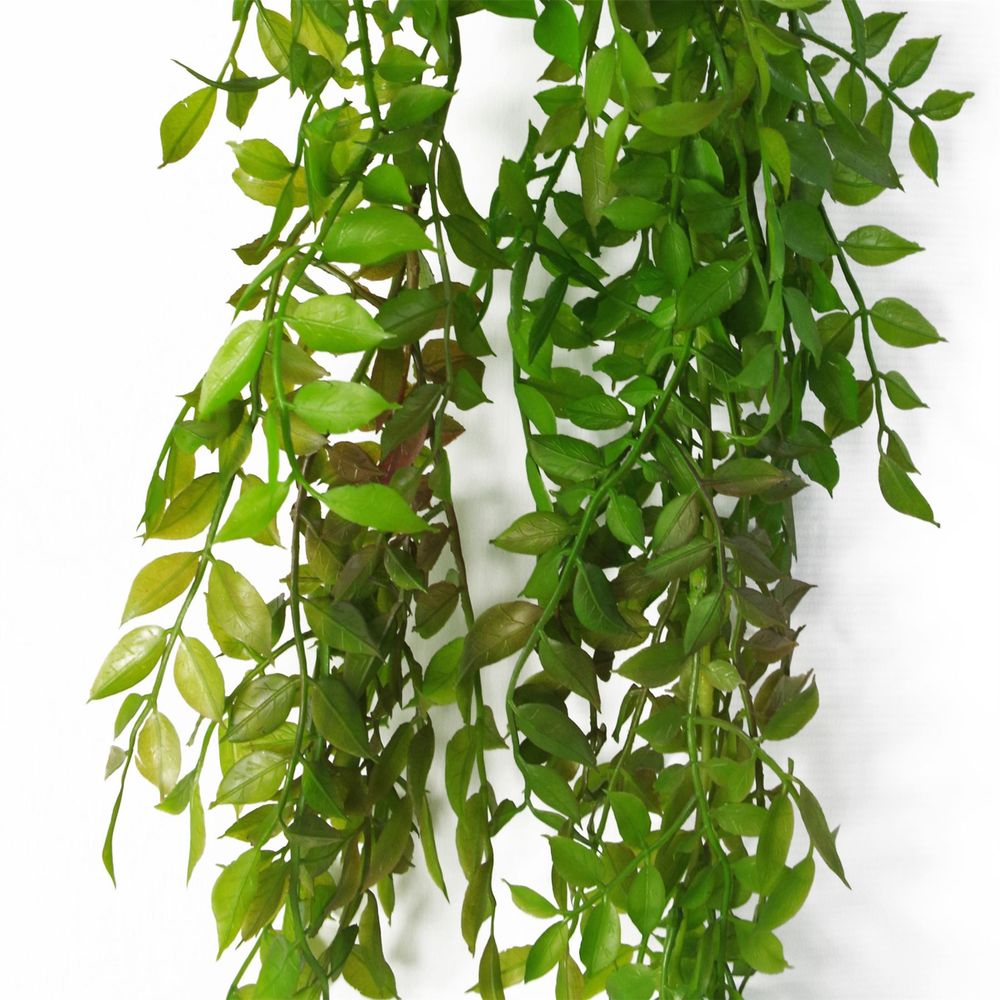 Set of 6 x 100cm Dark Green Artificial String of Pearls Fern Plants
