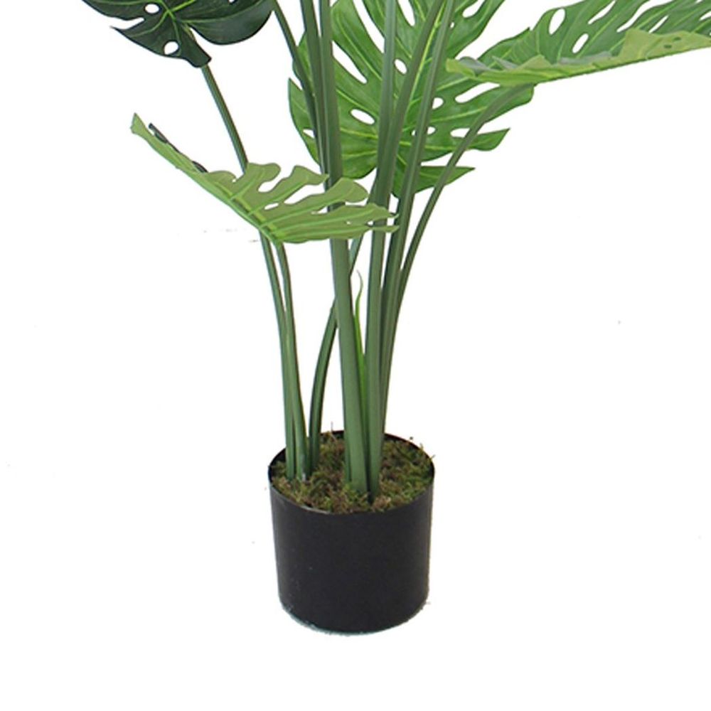 120cm (4ft) Luxury Monstera Plant in Elegant Black Pot