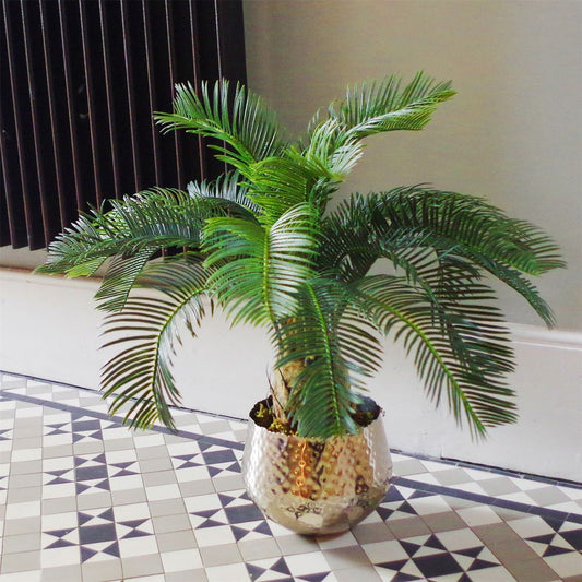 60cm Cycas Palm Plant - Artificial Tropical Tree for Exotic Decor