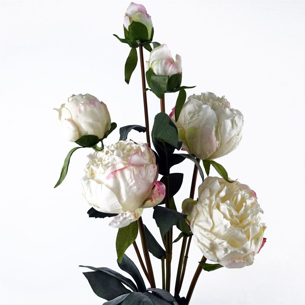 Pack of 6 x 55cm Cream Artificial Peony Stems - 24 Flowers, 18 Buds