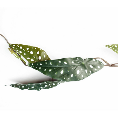 110cm Realistic Artificial Begonia Maculata Plant with Spotted Leaves for Hanging Decor