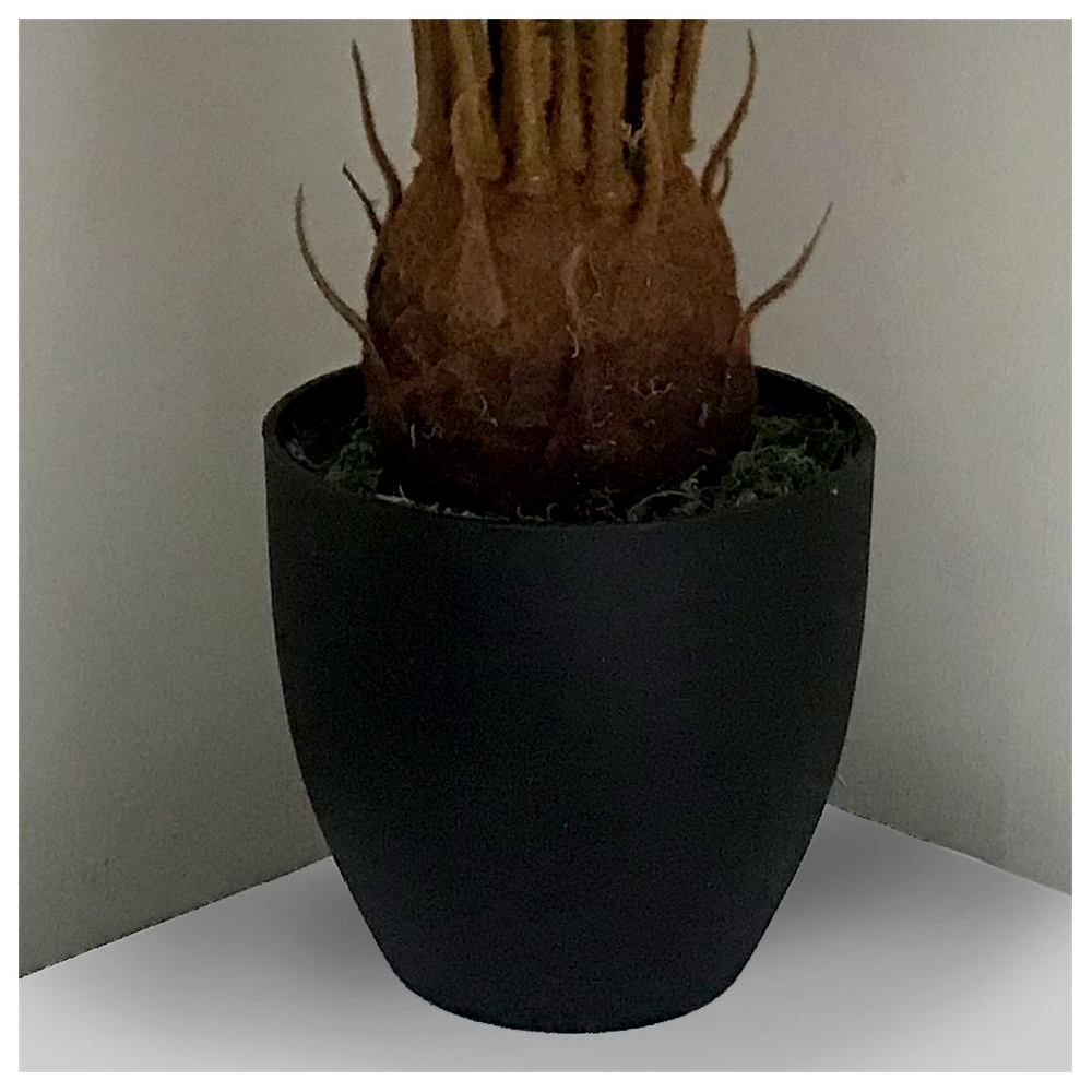 70cm Artificial Tropical Cycas Palm Plant for Exotic Indoor Appeal