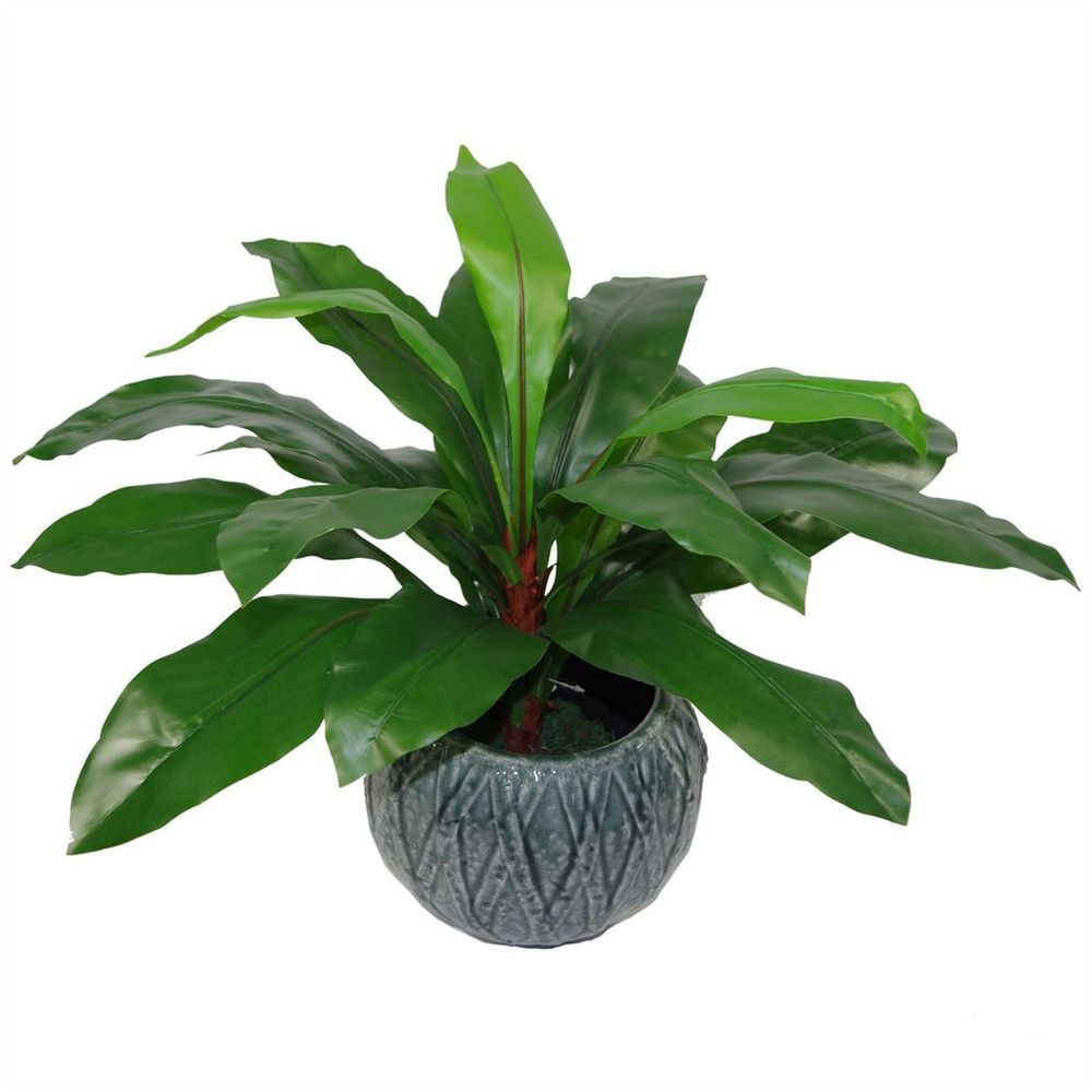 60cm Large Bushy Artificial Bird's Nest Fern Plant