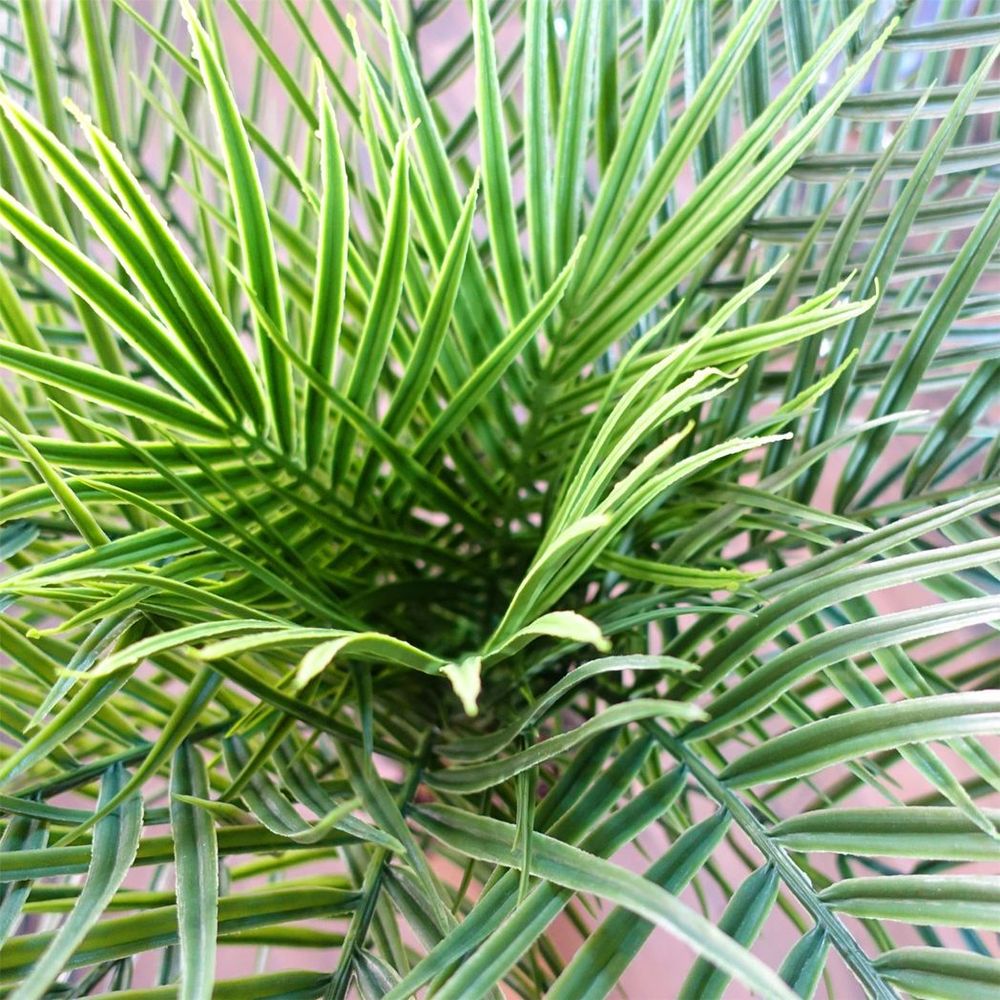 120cm UV Resistant Cycas Palm Tree - Beautiful for Outdoor Areas