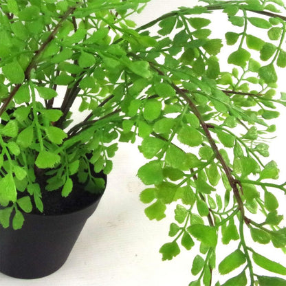 35cm Potted Southern Maidenhair Fern - Artificial Fern Plant Design