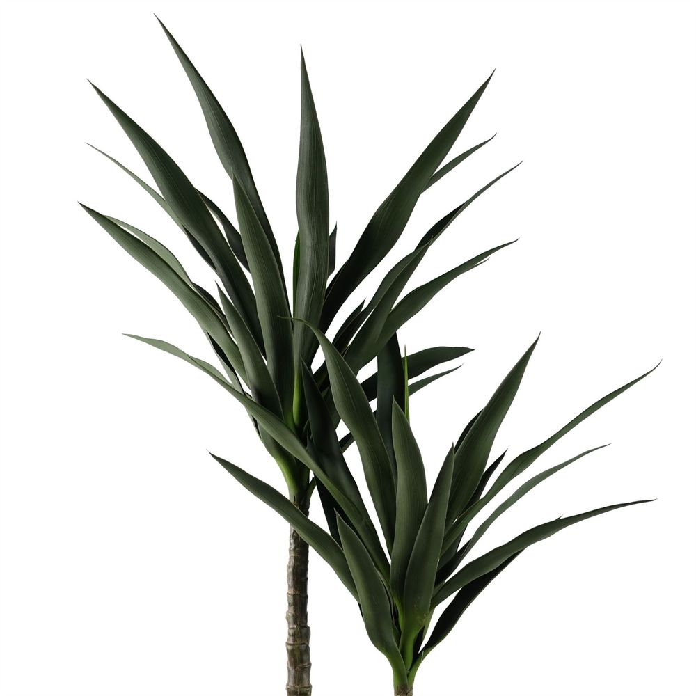 120cm Yucca Tree - UV Resistant for Outdoor Spaces and Garden Decor