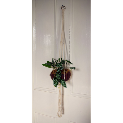85cm Hanging Artificial Potted Pothos Plant - Complete with Planter