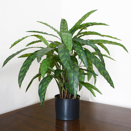 60cm Variegated Artificial Calathea Plant for Vibrant Indoor Decor