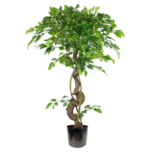 120cm Twisted Trunk Artificial Japanese Ficus Tree, Fruticosa Style