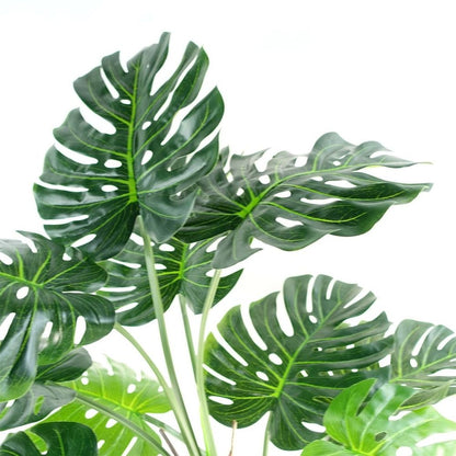 150cm (5ft) Luxury Monstera Plant in Elegant Black Pot