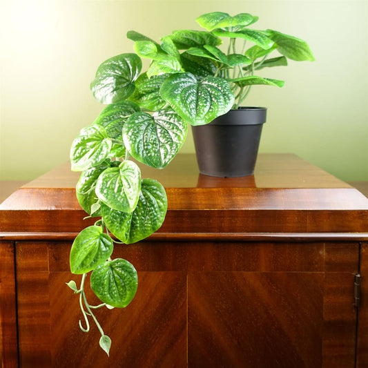 35cm Realistic Artificial Pothos Plant for Hanging Decor with a Natural Trailing Look