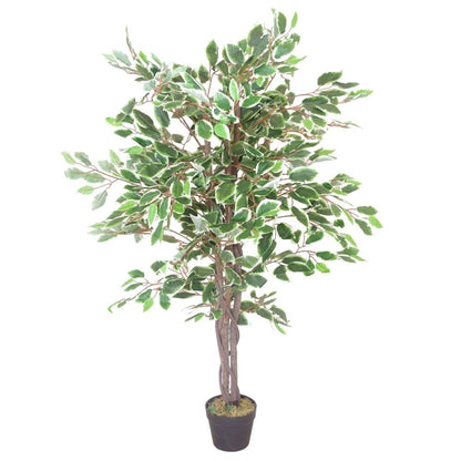 130cm Large Realistic White Edge Ficus Tree - Perfect for Brightening Spaces