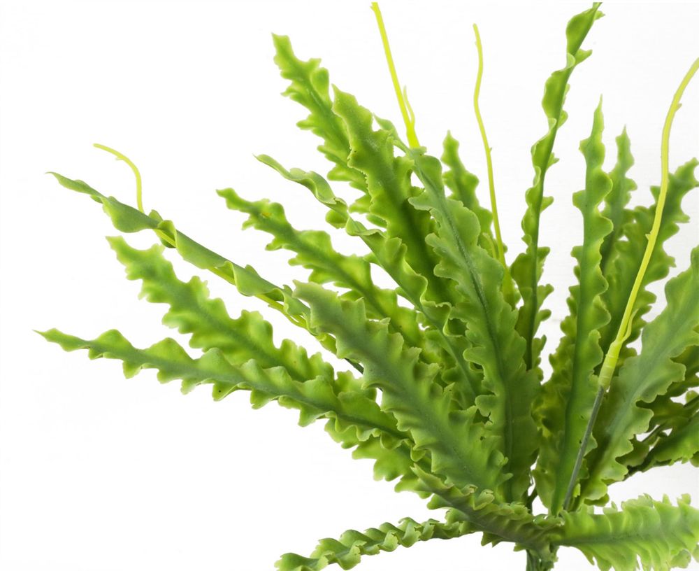 Pack of 12 x 40cm Artificial Crocodile Fern Plants