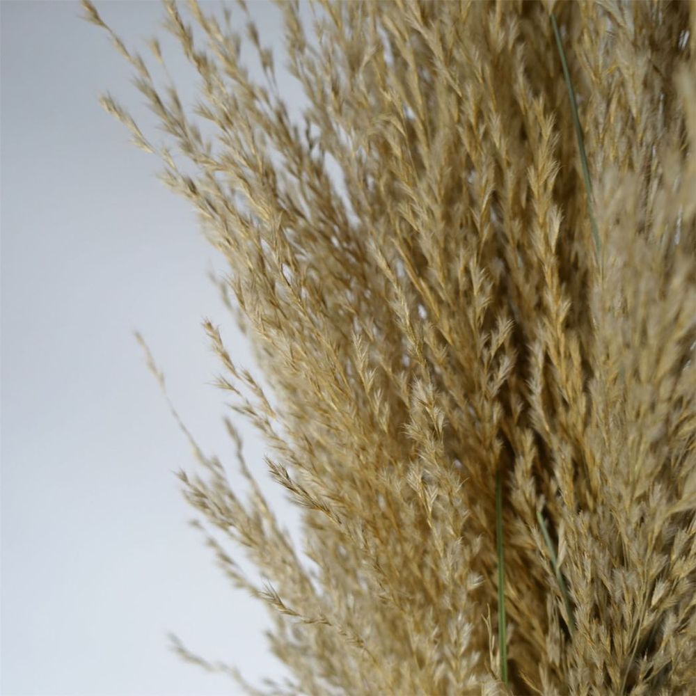 180cm Lifelike Pampas Grass Plant for a Chic and Natural Look
