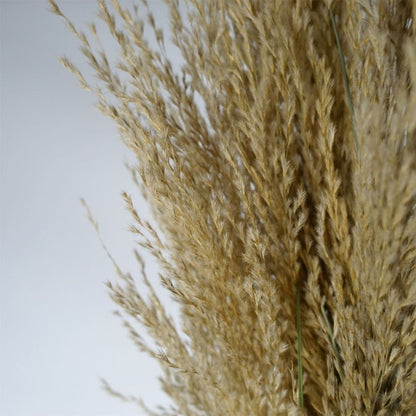 180cm Lifelike Pampas Grass Plant for a Chic and Natural Look