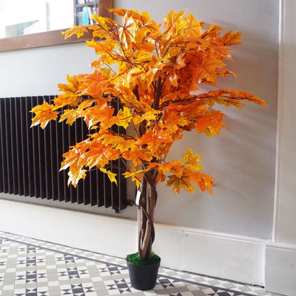 125cm Extra Large Orange Maple Acer Tree - Stunning Autumn Decor