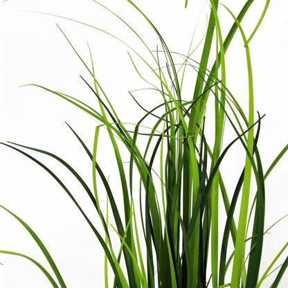 60cm Artificial Grass Plant in a Dusty Peach Ceramic Planter for Indoor Decor Styling