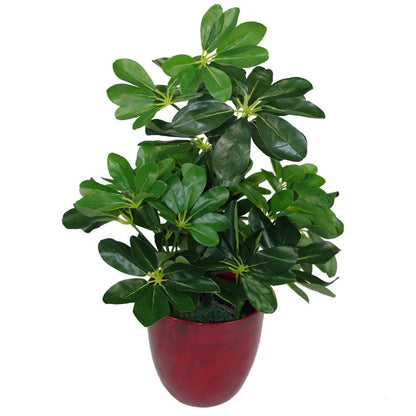 55cm Variegated Artificial Schefflera Arboricola Plant for Colourful Home Accents