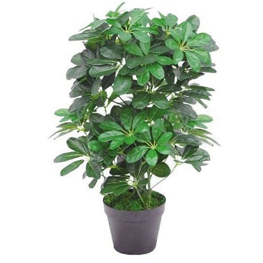 55cm Dark Green Artificial Umbrella Plant for Vibrant Indoor Settings