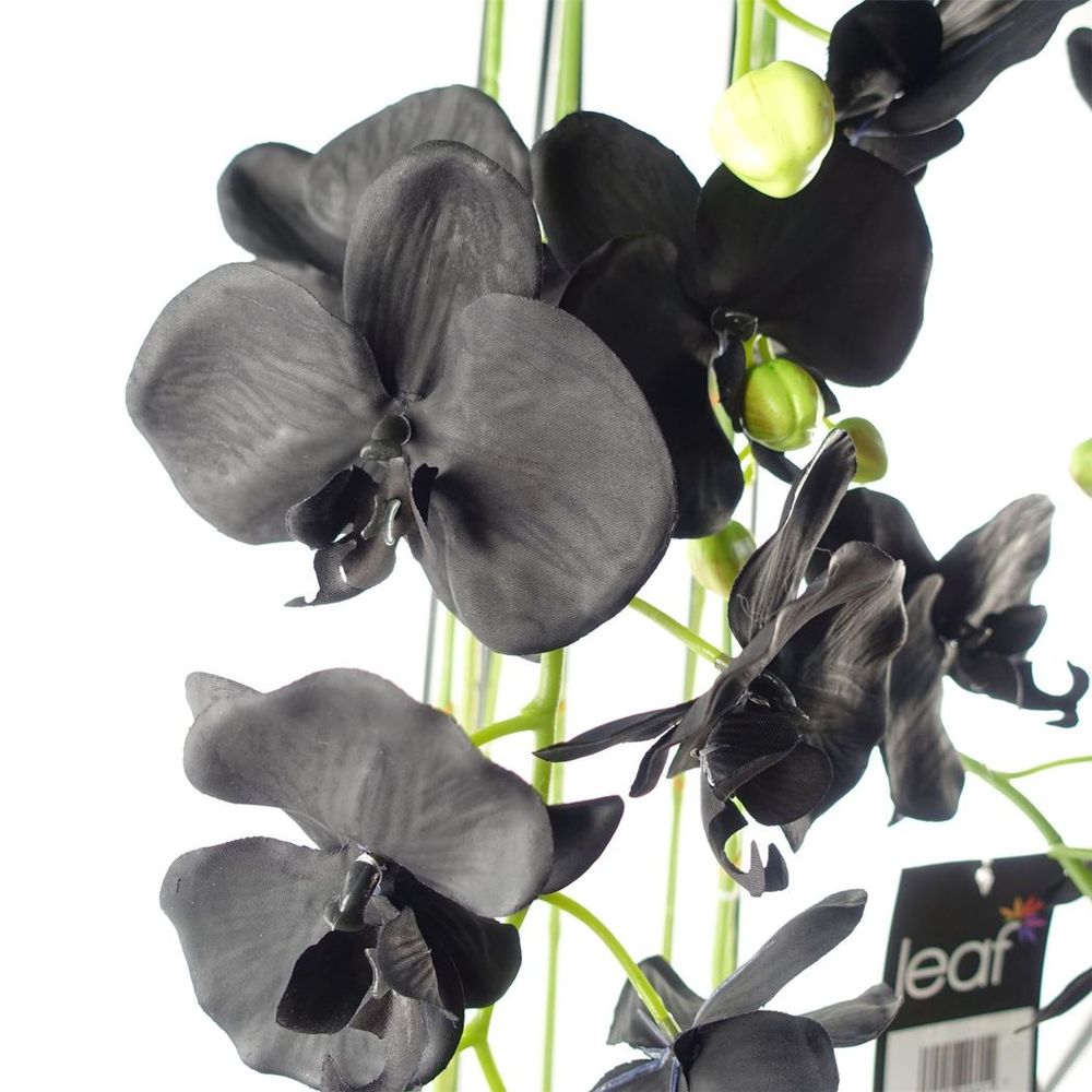 110cm Large Black Artificial Orchid Plant - 41 Real Touch Flowers