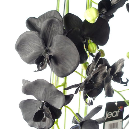 110cm Large Black Artificial Orchid Plant - 41 Real Touch Flowers