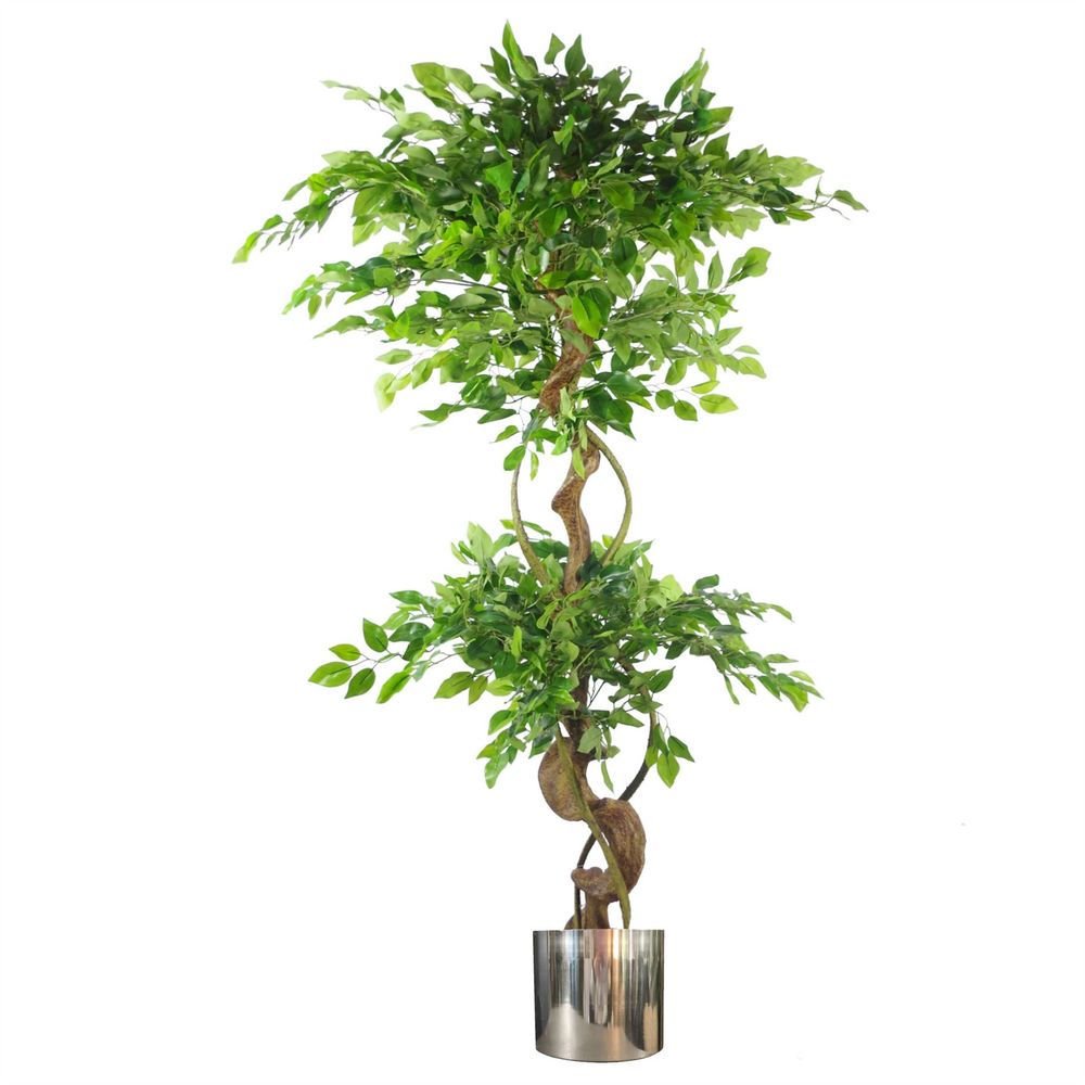 150cm Elegant Twisted Trunk Artificial Japanese Fruticosa Tree with Silver Planter