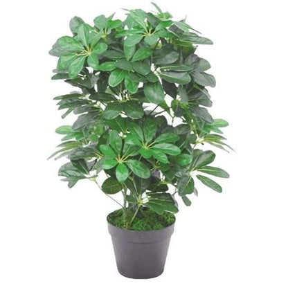 55cm Dark Green Artificial Schefflera Arboricola Plant for Indoor Greenery