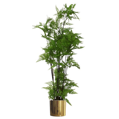 150cm Extra Large Artificial Fern Foliage Plant in Gold Planter for a Luxe Natural Look