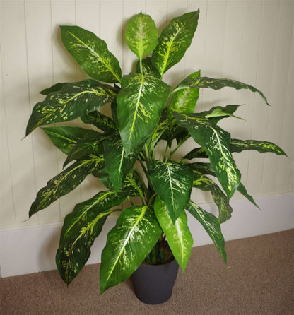 100cm Large Fox's Aglaonema (Spotted Evergreen) Tree in Copper Metal Planter